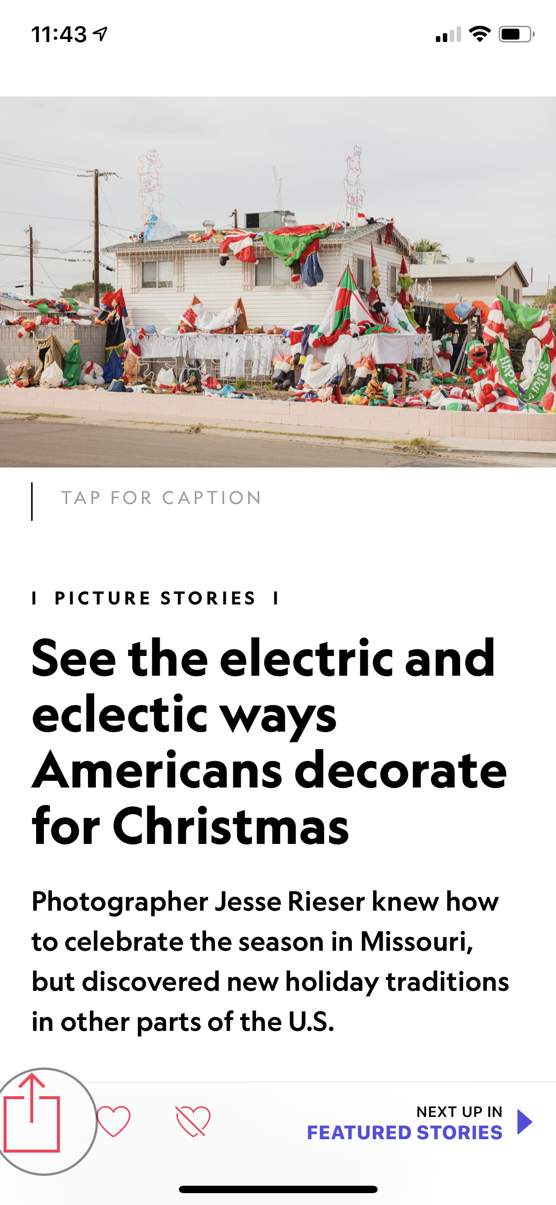 IMG_5737_2.PNG